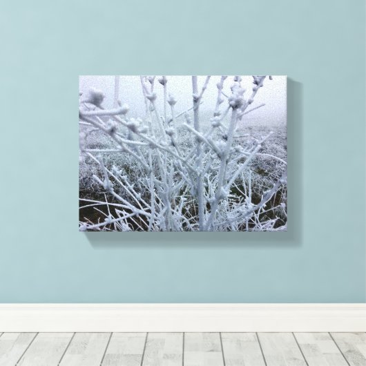 Frosty Planten Winter Landschap Canvas Afdruk (Insitu (Houten vloer))