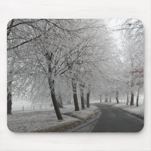 Frosty-reis Muismat (Voorkant)