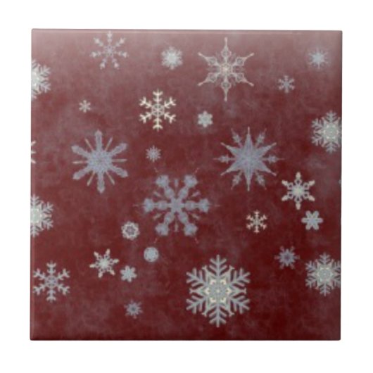 Frosty Snowflake Tegeltje (Voorkant)