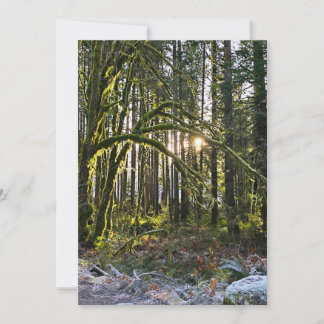 frosty sunlite moss kaart