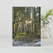 frosty sunlite moss kaart (Staand voorkant)