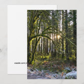 frosty sunlite moss kaart (Voorkant / Achterkant)