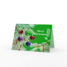 Frosty Tree Branches & Ornamenten op Groen