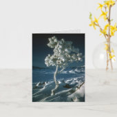 Frosty Tree en Sneeuw in Craters of the Moon Kaart (Gele Bloem)