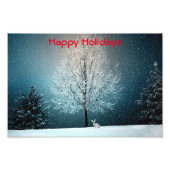 Frosty tree in de avond foto afdruk (Voorkant)