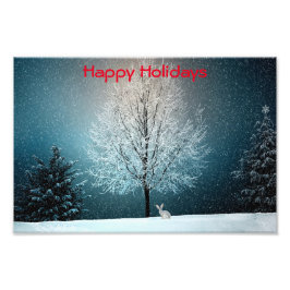 Frosty tree in de avond foto afdruk