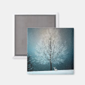 Frosty tree in de avond magneet (Voorkant / Achterkant)