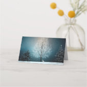 Frosty tree in de avond plaatskaartje (Achterkant)