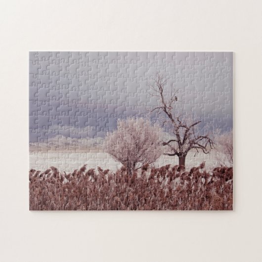 Frosty Utah Mountain Morning - 11x14 - 252 pc Legpuzzel (Horizontaal)