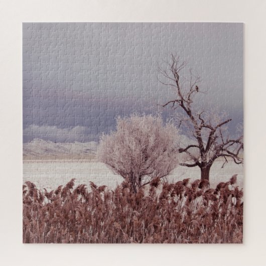 Frosty Utah Mountain Morning - 20x20 - 676 pc Legpuzzel (Verticaal)