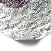 Frosty wickerwork pauock poster (Hoek)