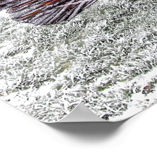 Frosty wickerwork pauock poster (Hoek)