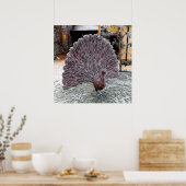 Frosty wickerwork pauock poster (Keuken)