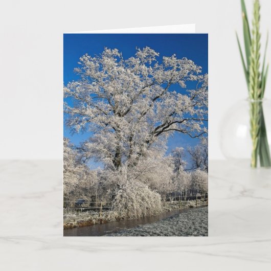 Frosty winter scene, Engeland Feestdagen Kaart (Voorkant)