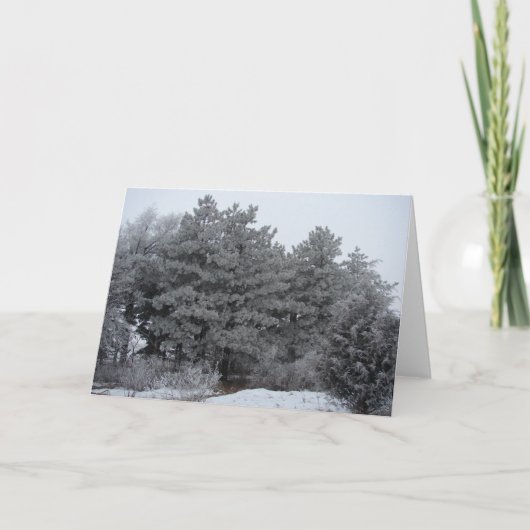 Frosty Winter Wonderland Feestdagen Kaart (Voorkant)