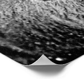 Frosty Yellowstone Bison Poster (Hoek)