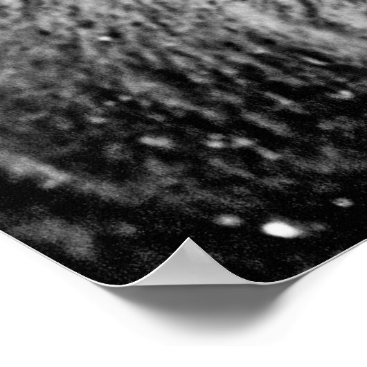 Frosty Yellowstone Bison Poster (Hoek)