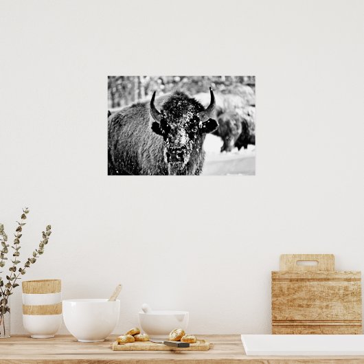 Frosty Yellowstone Bison Poster (Keuken)