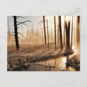 Frosty Yellowstone Morning Briefkaart