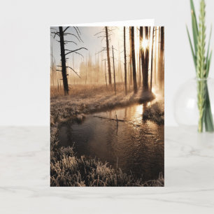 Frosty Yellowstone Morning Feestdagen Kaart