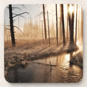 Frosty Yellowstone Morning Onderzetter