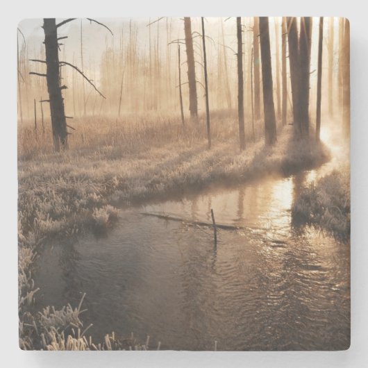 Frosty Yellowstone Morning Stenen Onderzetter (Voorkant)