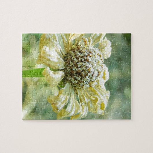 Frosty Zinna Legpuzzel (Horizontaal)