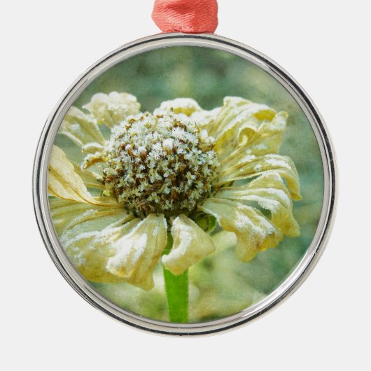 Frosty Zinna Metalen Ornament (Voorkant)