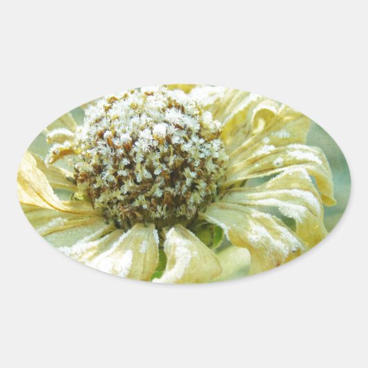 Frosty Zinna Ovale Sticker (Voorkant)