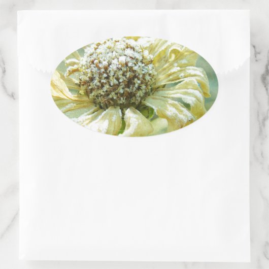 Frosty Zinna Ovale Sticker (Tas)