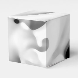 Frozen: Abstract Grijs, Wit & Zwart Bedankdoosjes