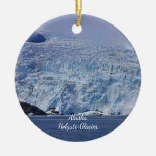 Frozen Beauty Ornament Souvenir