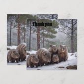 Frozen Burrow: Australische gevechtsfamilie Bedankkaart (Voorkant / Achterkant)