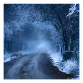 Frozen Foto Afdruk (Voorkant)