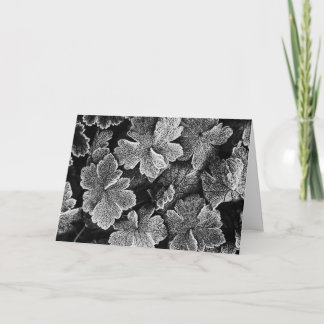 Frozen Leaves Christmas Kaart