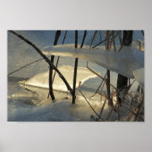 Frozen Marsh Ice Maine Winter Scenery Poster (Voorkant)