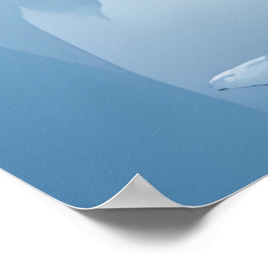 Frozen Mountain Lake Poster (Hoek)