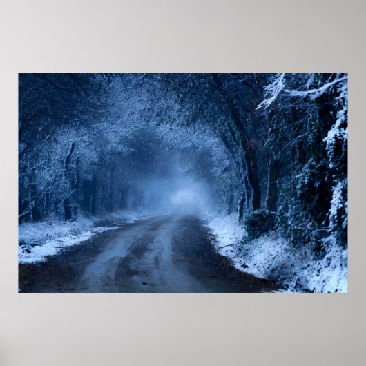 Frozen Poster (Voorkant)