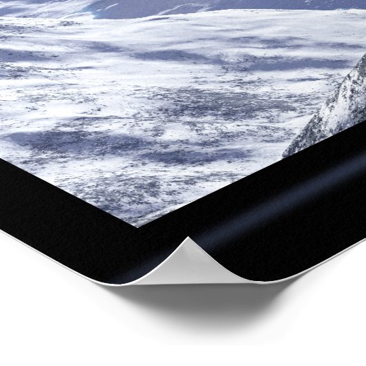 FROZEN POSTER (Hoek)