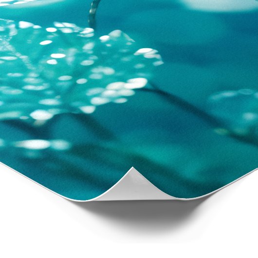 Frozen Transition: het ontwaken van bladeren Poster (Hoek)