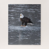 Frozen Waters Eagle Puzzel Legpuzzel (Verticaal)