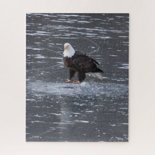 Frozen Waters Eagle Puzzel Legpuzzel