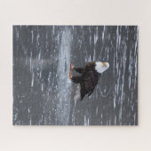 Frozen Waters Eagle Puzzel Legpuzzel (Horizontaal)