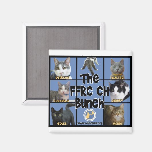 FRRC CH Bunch Magnet (Voorkant / Achterkant)