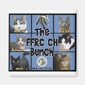 FRRC CH Bunch Magnet (Voorkant)