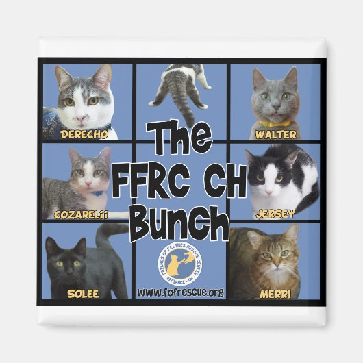 FRRC CH Bunch Magnet (Voorkant)