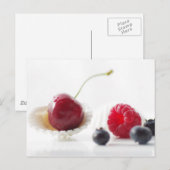 Früchte des Sommers Stillleben Briefkaart (Voorkant / Achterkant)