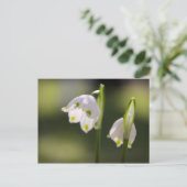 Frühlingsboten bringen Glück in den Briefkasten Briefkaart (Staand voorkant)