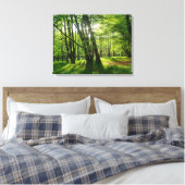 Frühlingswald Canvas Afdruk (Insitu (Slaapkamer))