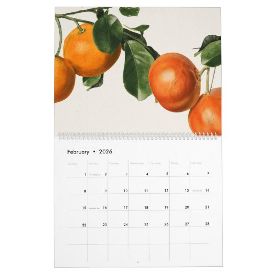 Fruit 2026 kalender (Feb 2026)